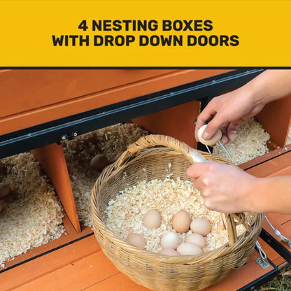 🐣Producer's Pride Defender Extra-Large Chicken Coop, 18 Chicken Capacity